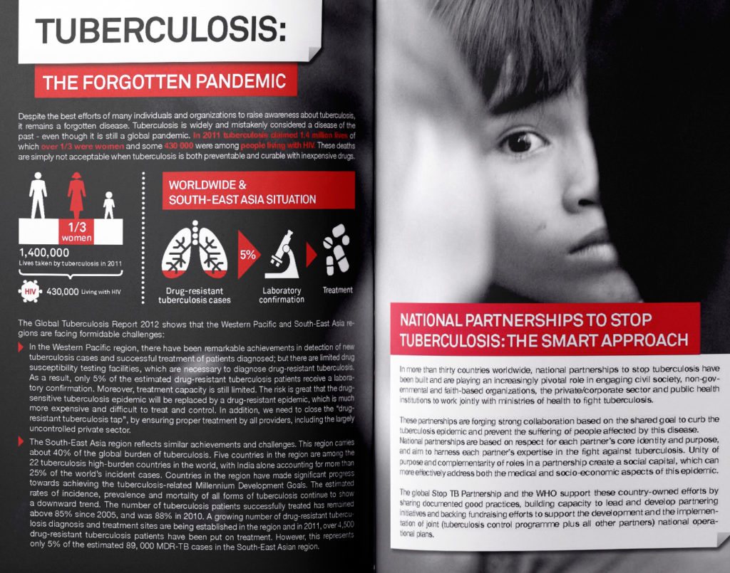 Investing in tuberculosis control brochure